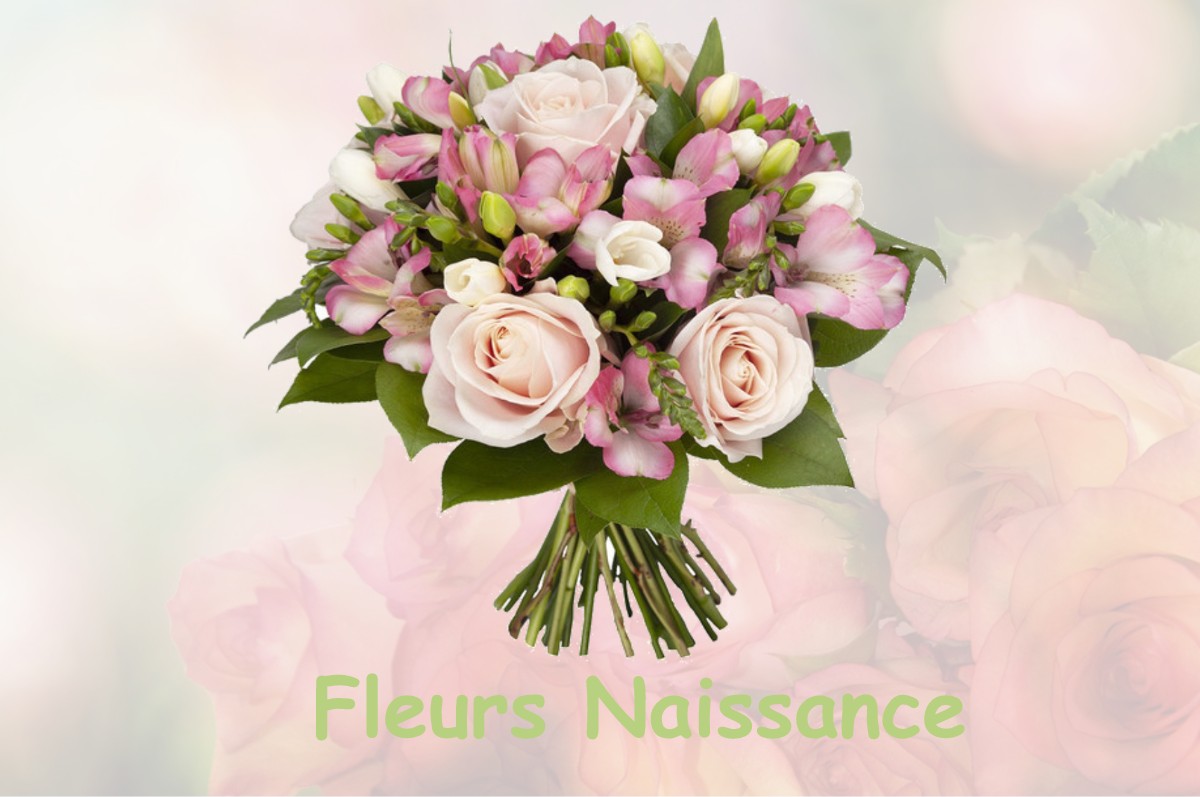 fleurs naissance JUVIGNY-SUR-LOISON