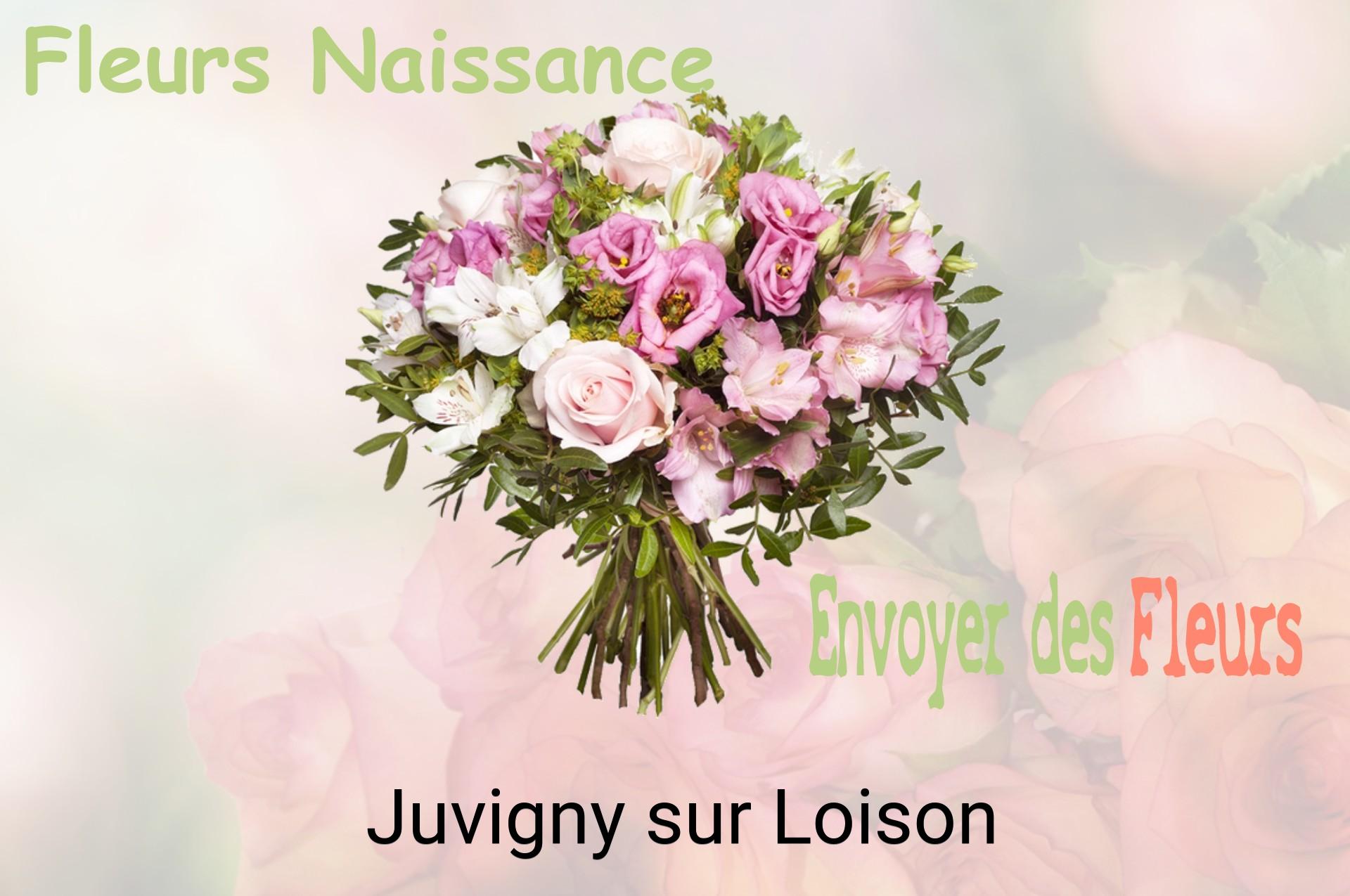 Bouquet de fleurs de naissance livré à Juvigny-sur-Loison