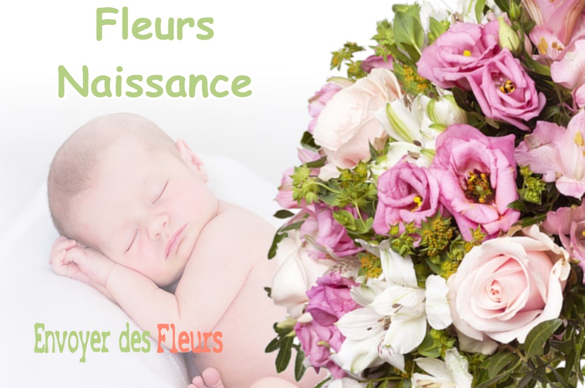 lIVRAISON FLEURS NAISSANCE à JUVIGNY-SUR-LOISON